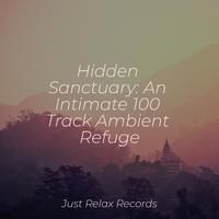 Hidden Sanctuary: An Intimate 100 Track Ambient Refuge