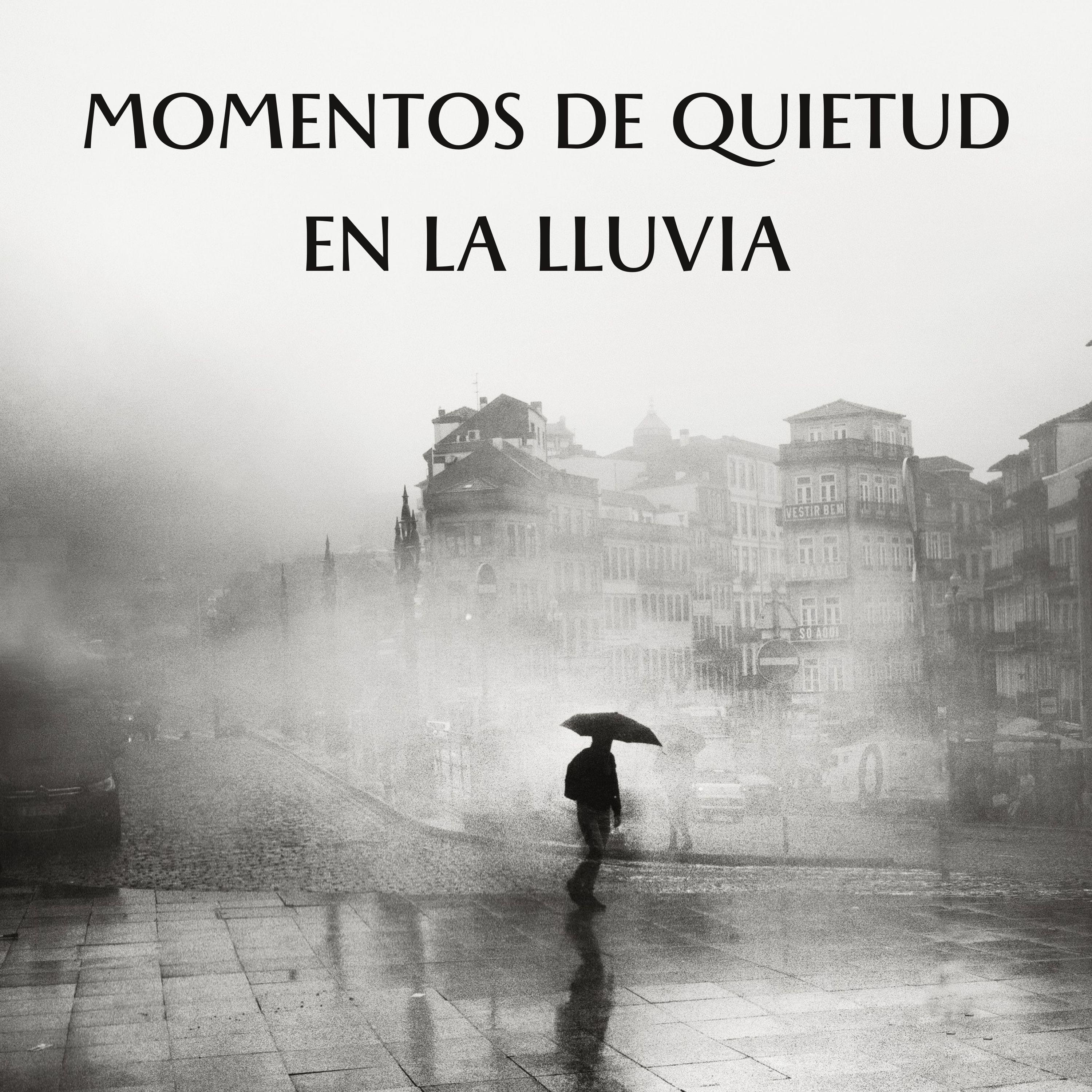 El Cielo Se Derramará_Lluvia en el Bosque_Momentos De Quietud En La Lluvia | 在线播放_El Cielo Se Derramará歌词_El Cielo Se Derramará下载 | 网易云音乐