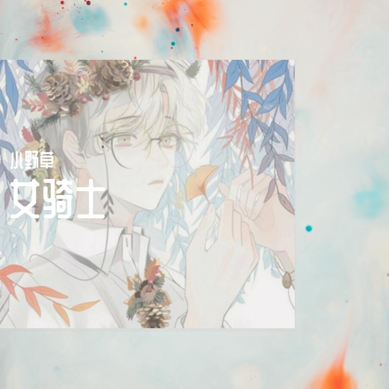 女骑士封面