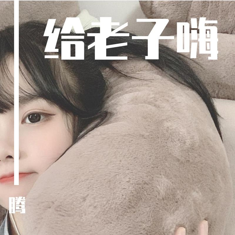 冰河时代（DJ版）封面