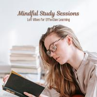 Mindful Study Sessions: Lofi Vibes for Effective Learning