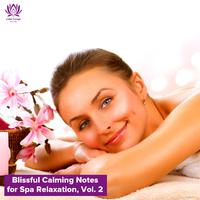 Blissful Calming Notes for Spa Relaxation, Vol. 2