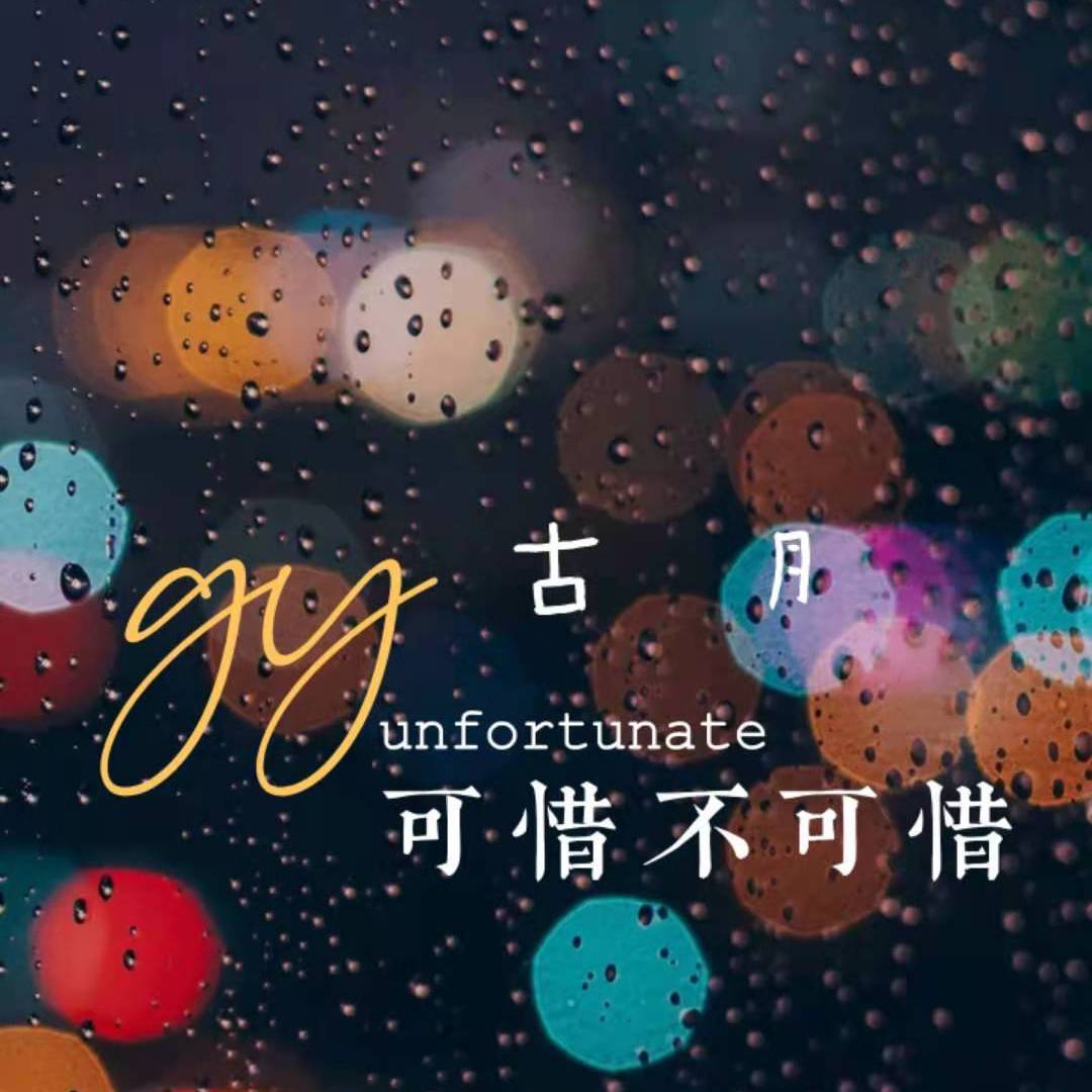 可惜不可惜封面