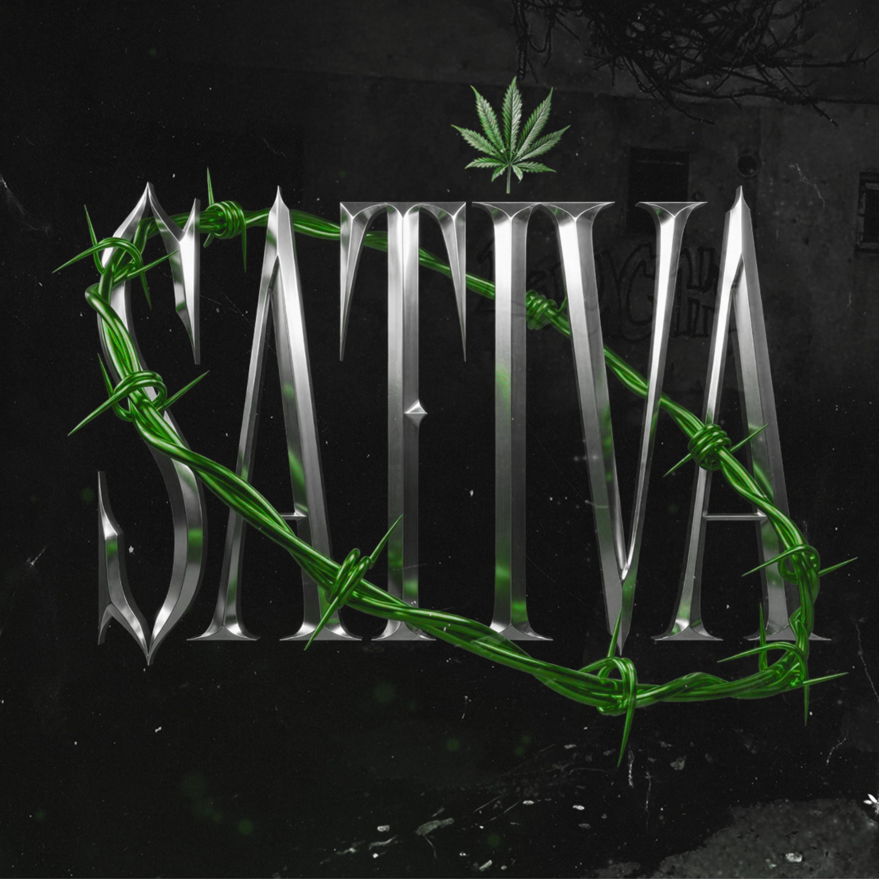 Sativa (feat. IulianMrg)