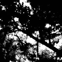 脏南小子.TREEONLY
