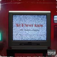 We'll Never Know (feat. Cartune)