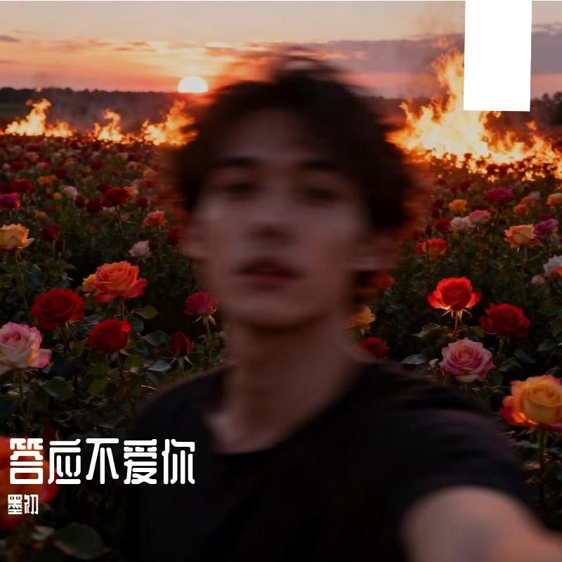 答应不爱你封面