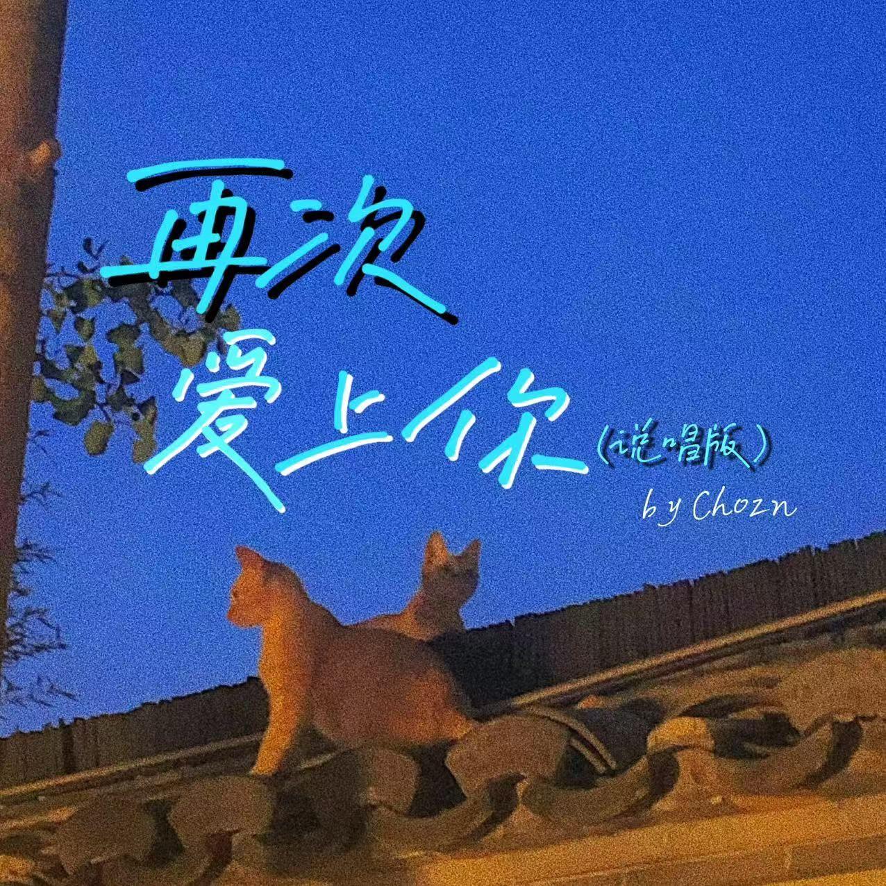 再次爱上你封面