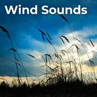 Wind Sounds