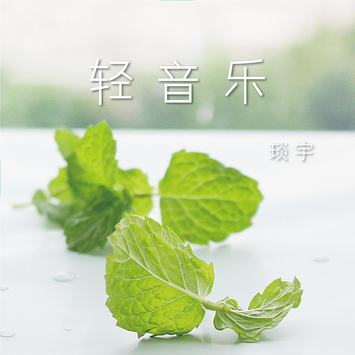 她的沙画（纯音乐BGM长笛版）封面