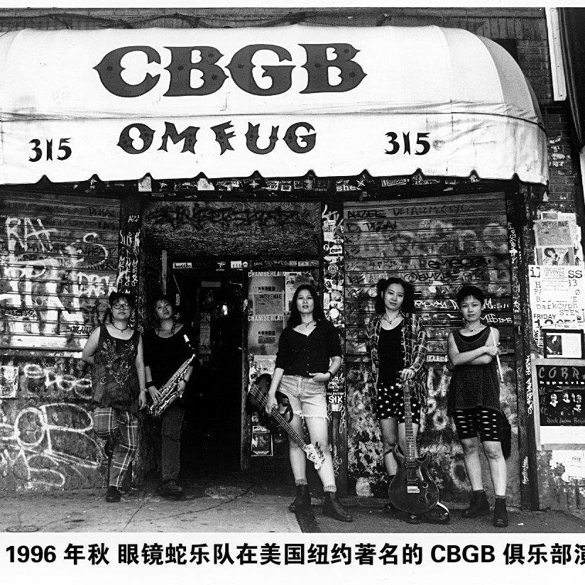 眼镜蛇乐队（Cobra）