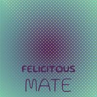 Felicitous Mate