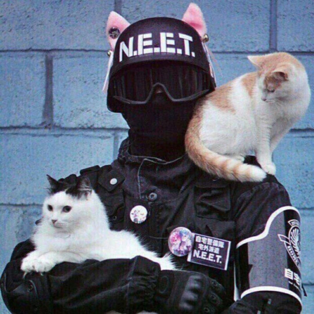 江元倾国又倾城