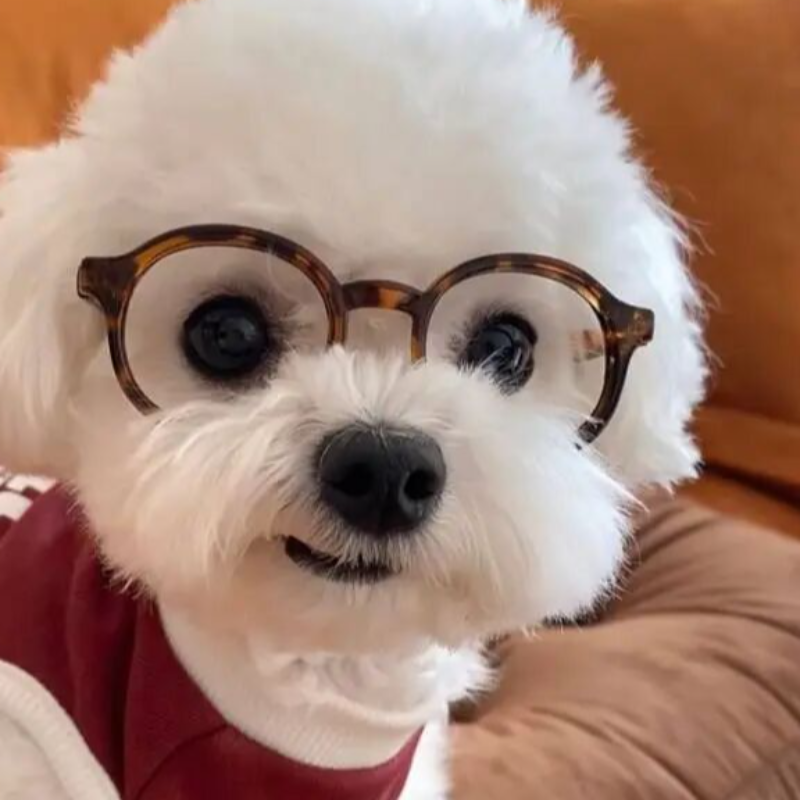 全网热门歌曲推荐（持续更新中）