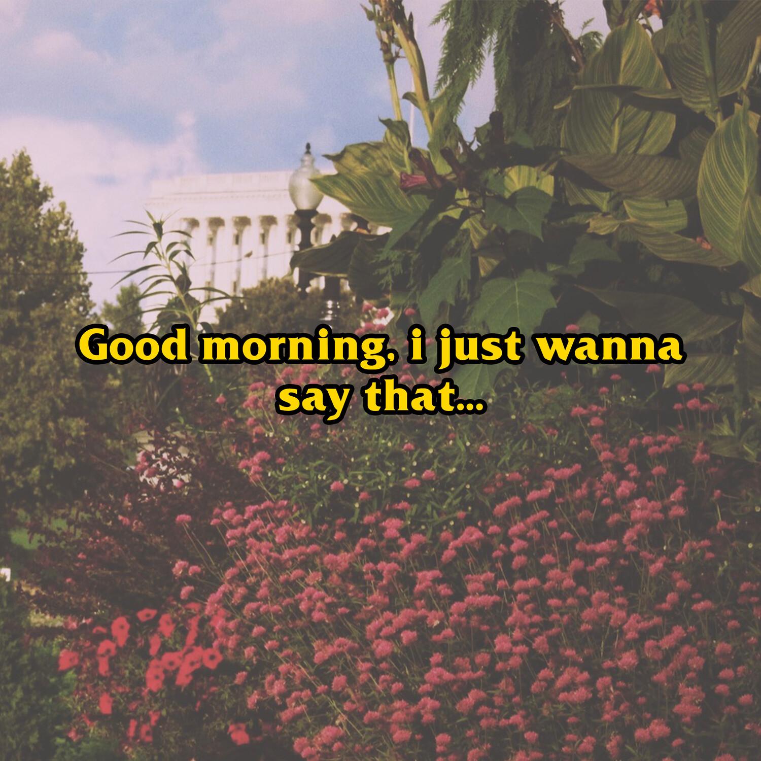 Good Morning, I Just Wanna Say That