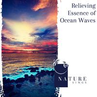 Relieving Essence of Ocean Waves