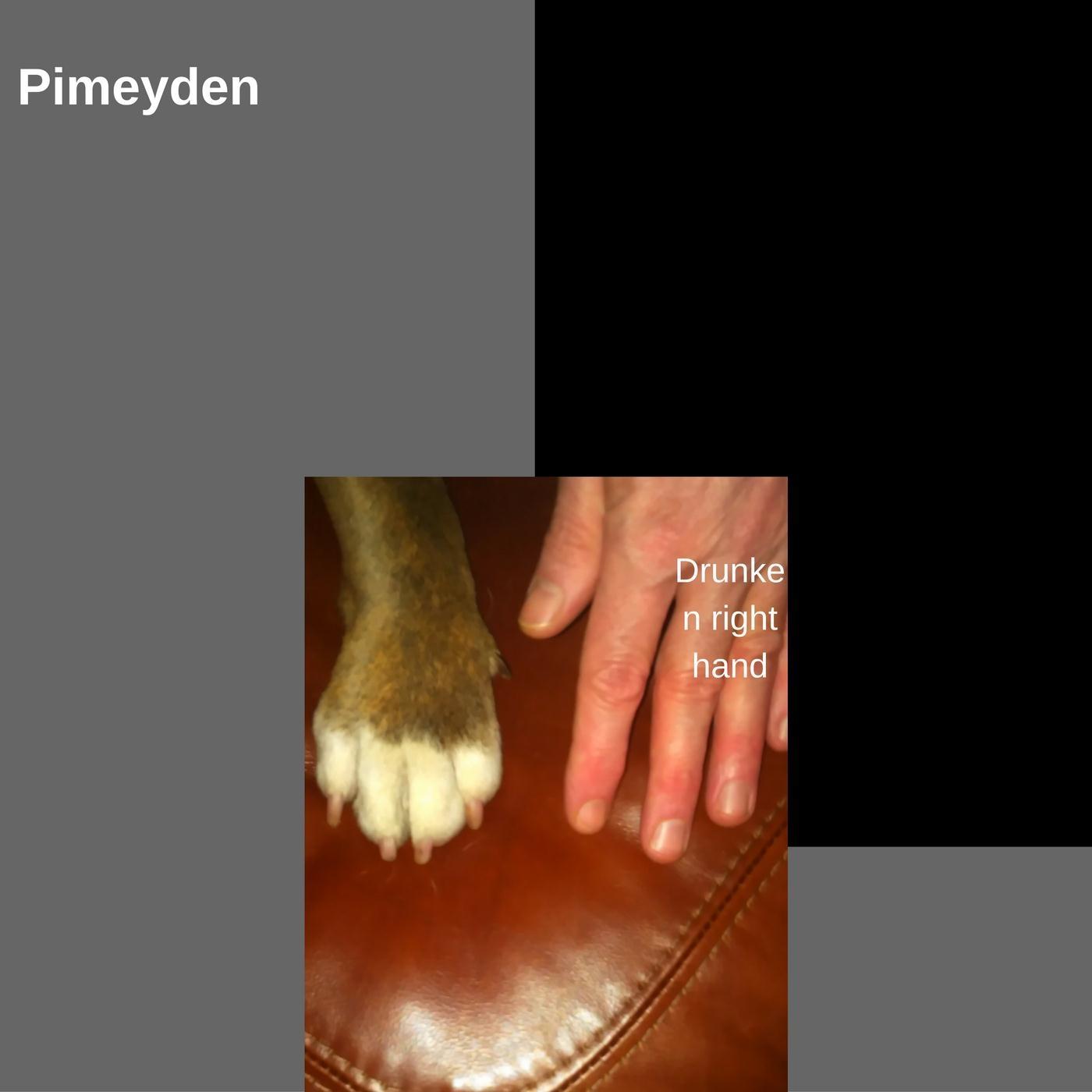 Earthly Grace Is Not Heaven