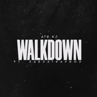 WalkDownn (feat. ZaeDaTrapGod)