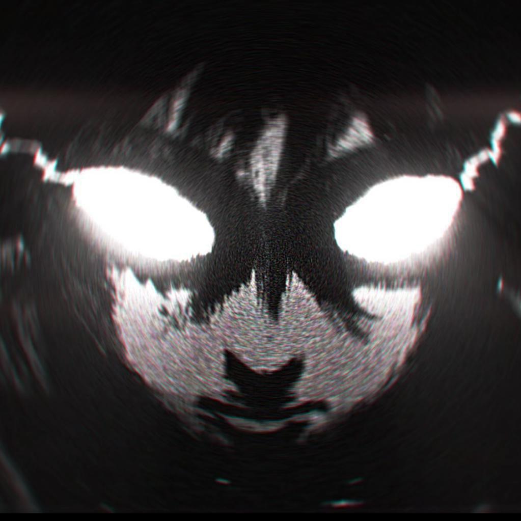 Phonk｜“该你逆风翻盘了！”