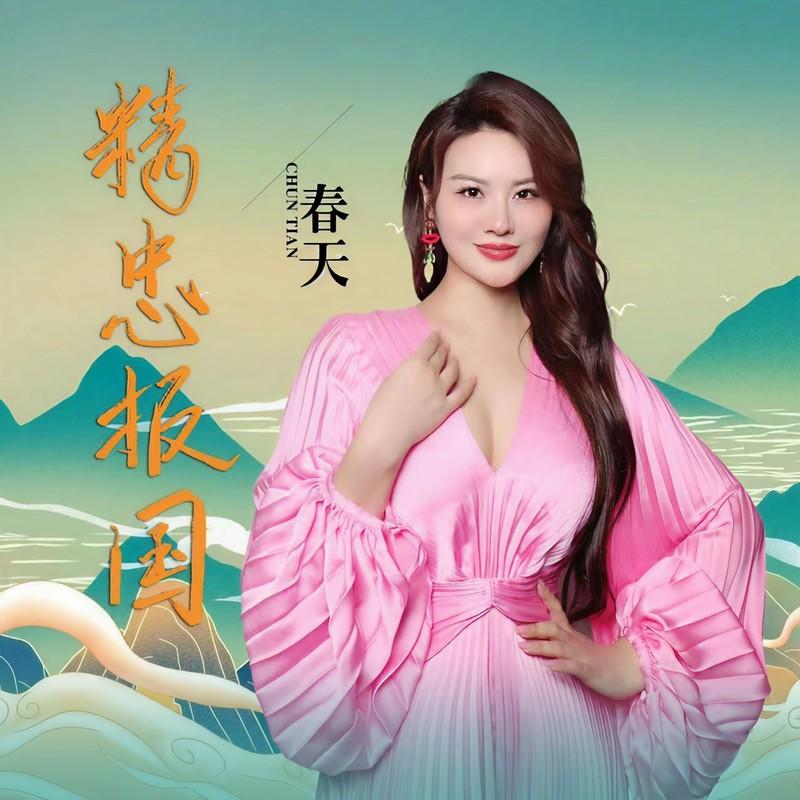 精忠报国(DJ版)封面