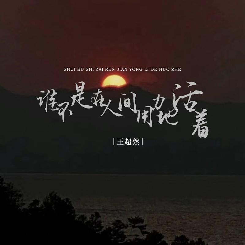 谁不是在人间用力地活着封面