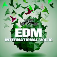 EDM International, Vol. 10