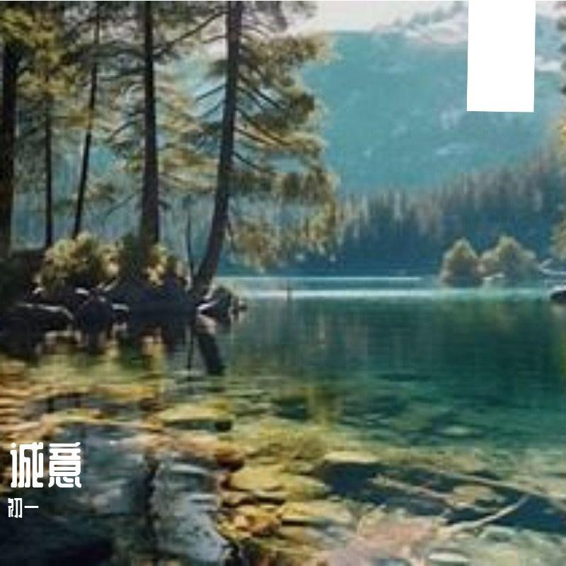 《树影斑驳的午后》Warm电子派对-平静-民谣封面