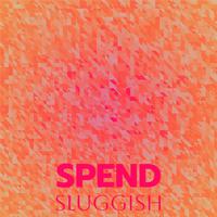 Spend Sluggish