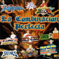 La Combinacion Perfecta (100% Cumbia Sonidera)