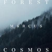 Forest Cosmos