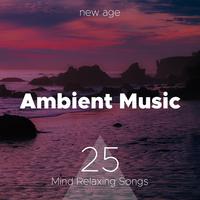 Ambient Music: 25 Mind Relaxing Songs for Yoga Meditation Spa Massage Wellness Centers