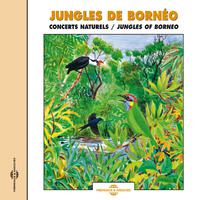 Jungles Of Borneo