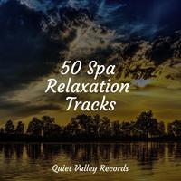 50 Spa Relaxation Tracks