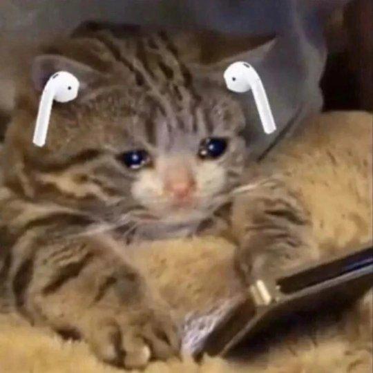 明天依旧爱你-_vatl