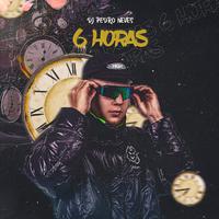 6 Horas