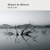 Miguel de Balasat - Breathe