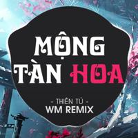 Cành Hồng Đã Úa Giấc Mơ Cũng Dần Tàn (Mộng Tàn Hoa WM Remix)