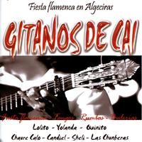 Gitanos De Cai- Fiesta flamenca en Algeciras