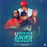 VENENOSA (feat. Mestizo Is Back, Harryson & Babilom Produce)