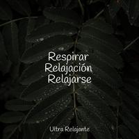 Respirar Relajación Relajarse