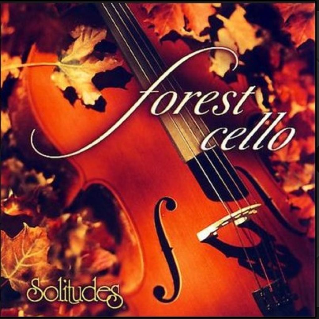 拥抱自然的琴曲－丹.吉布森Dan Gibson