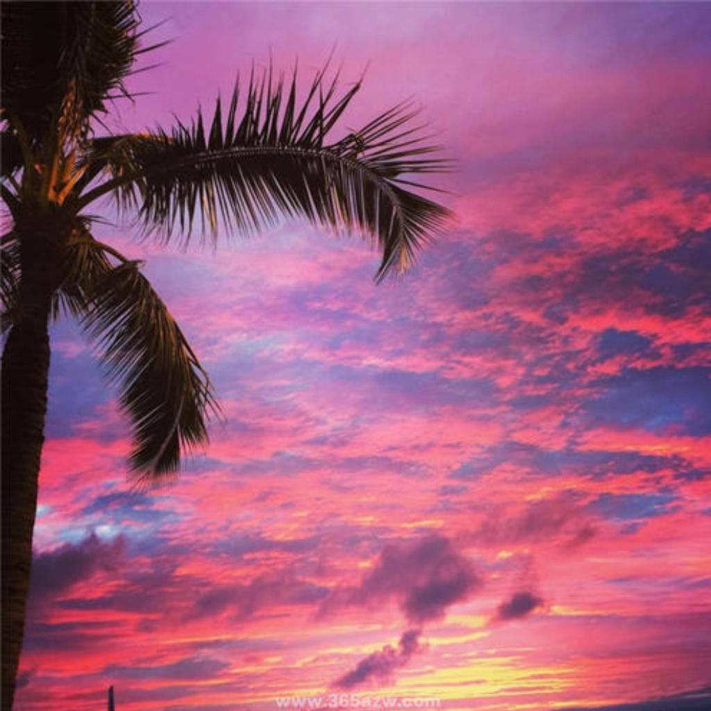 夏威夷流行 Hawaiian Pop