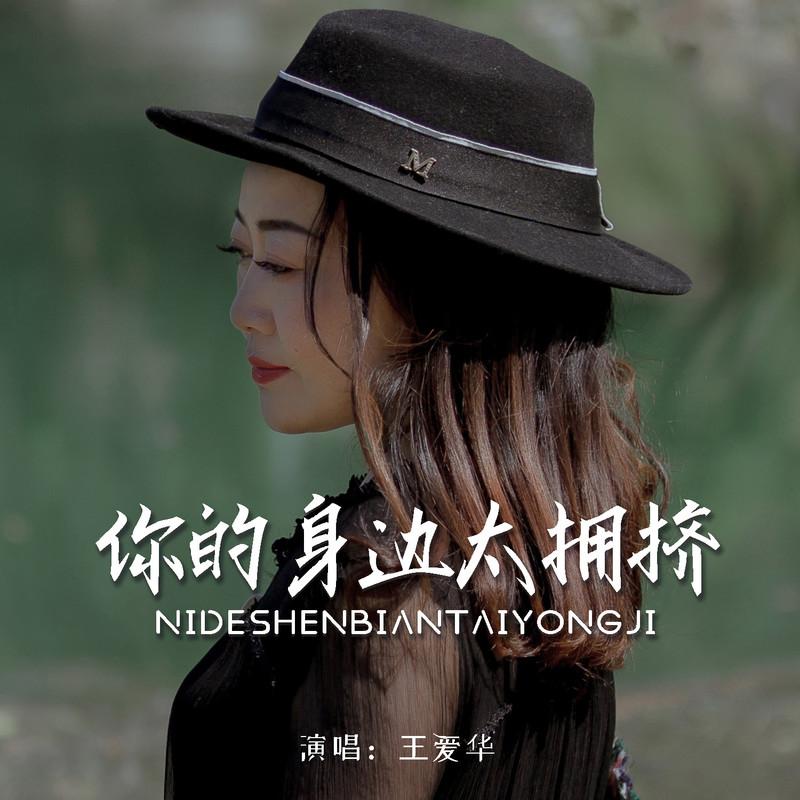 你的身边太拥挤 - 王爱华封面
