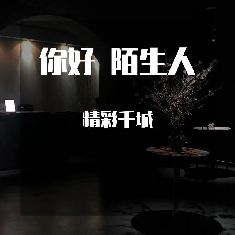 你好  陌生人封面