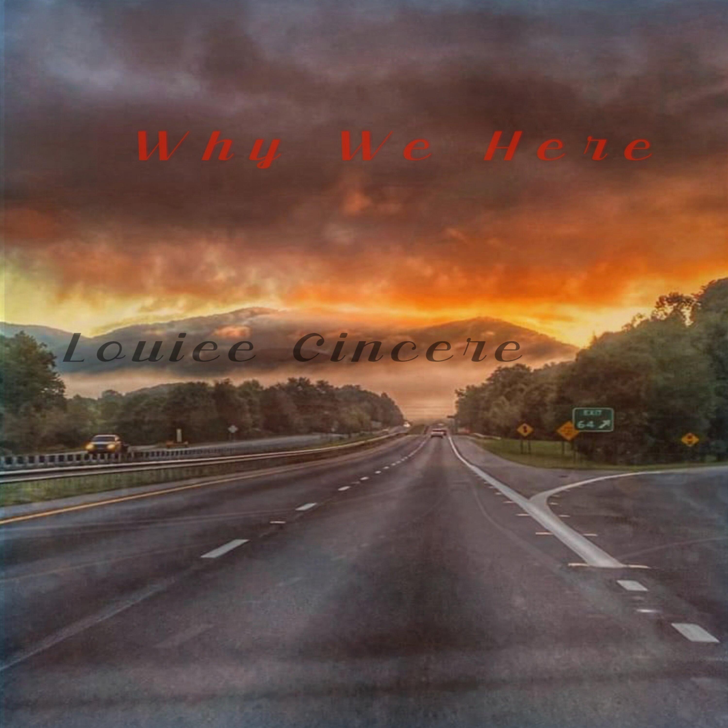 Why We Here (Radio Edit)封面