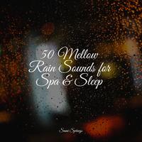 50 Mellow Rain Sounds for Spa & Sleep