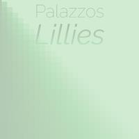 Palazzos Lillies