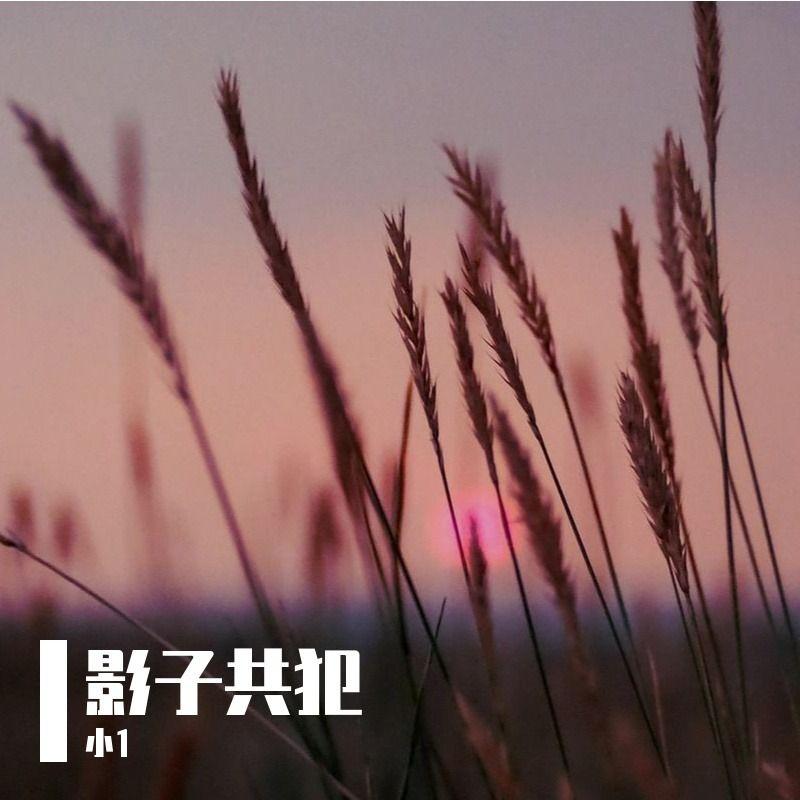 空号封面