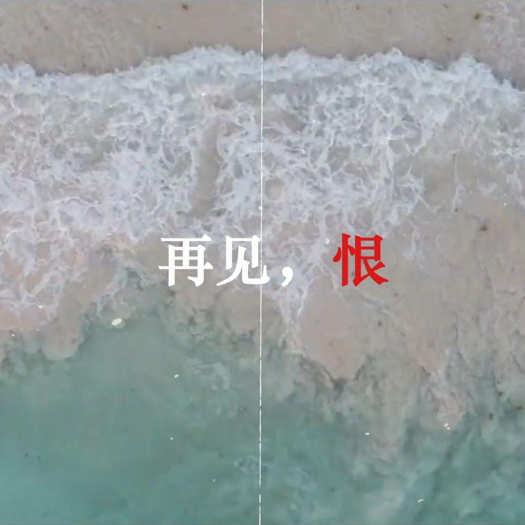 再见了，我以恨意为燃料的人生..._Calia-林焰_再见了，我以恨意为燃料的人生... | 在线播放_再见了，我以恨意为燃料的人生...歌词_再见了，我以恨意为燃料的人生...下载 | 网易云音乐
