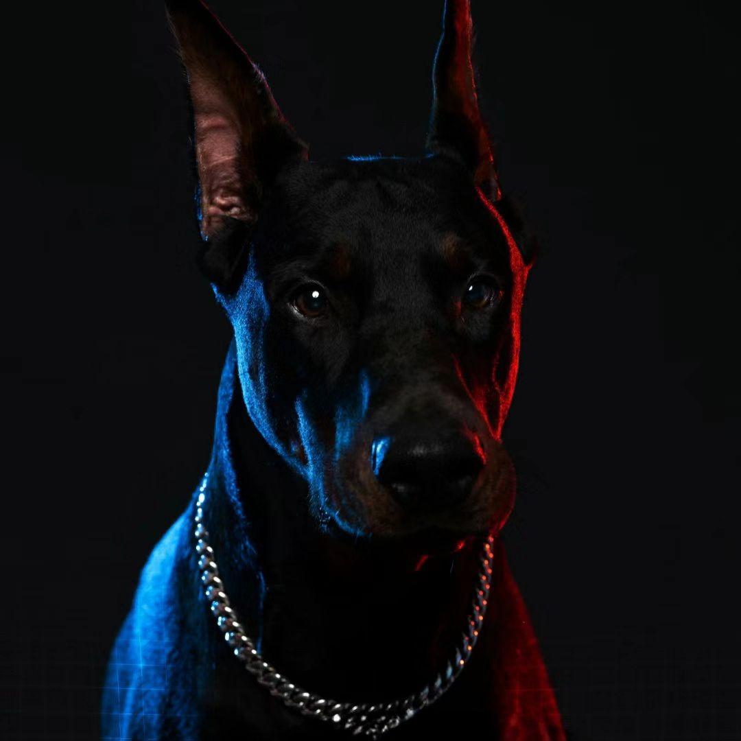 顶级狠货孟菲斯伴奏 Dobermann! Memphis type beat - 大力出奇迹封面
